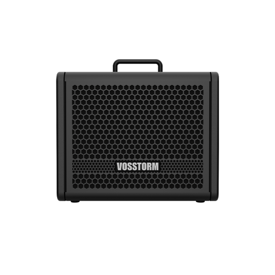 Amplificador Para Guitarra 8 Pol 25w Vosstorm Gx-8