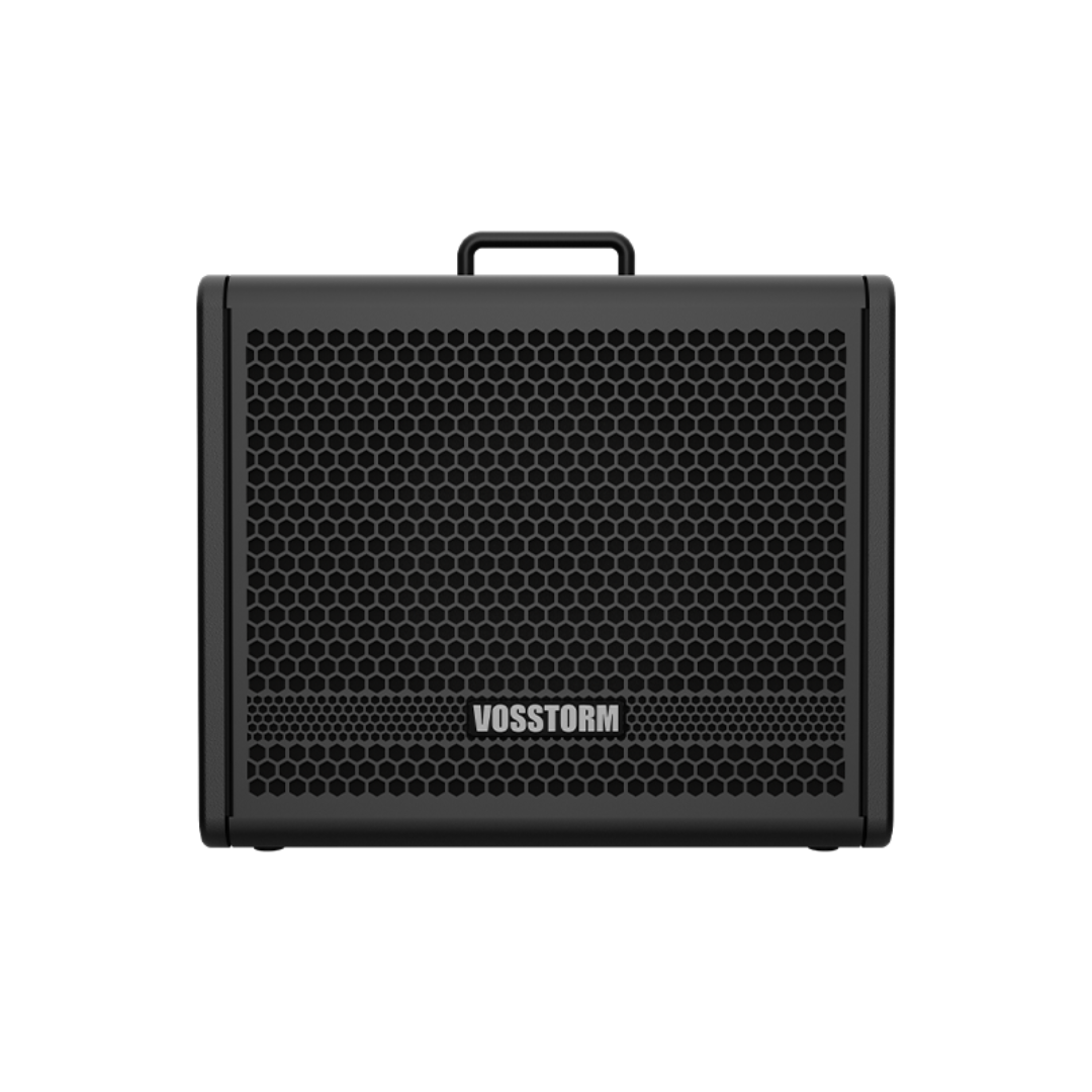 Amplificador Para Guitarra 10 Pol 40w Vosstorm Gx-10